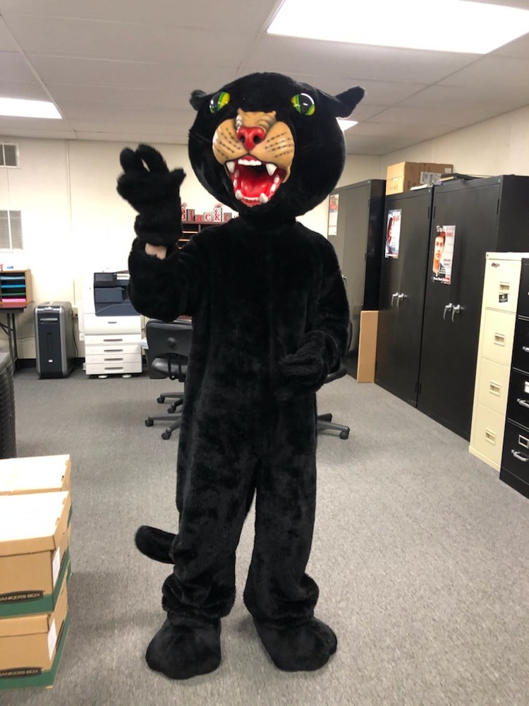 WELCOME TO THE DC MASCOT